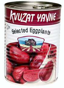 Selected Eggplants - Kvuzat Yavne