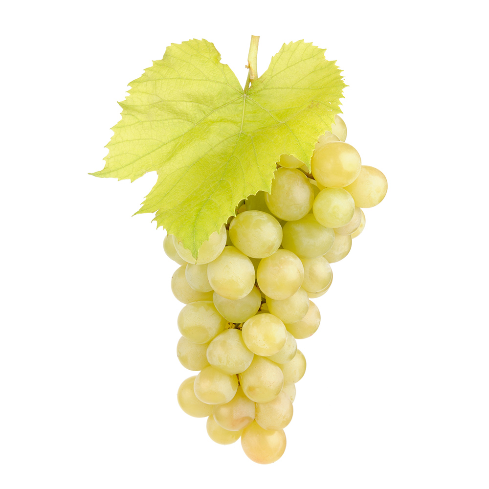 Organic Seedless Green Muscat Grapes, 2 lb