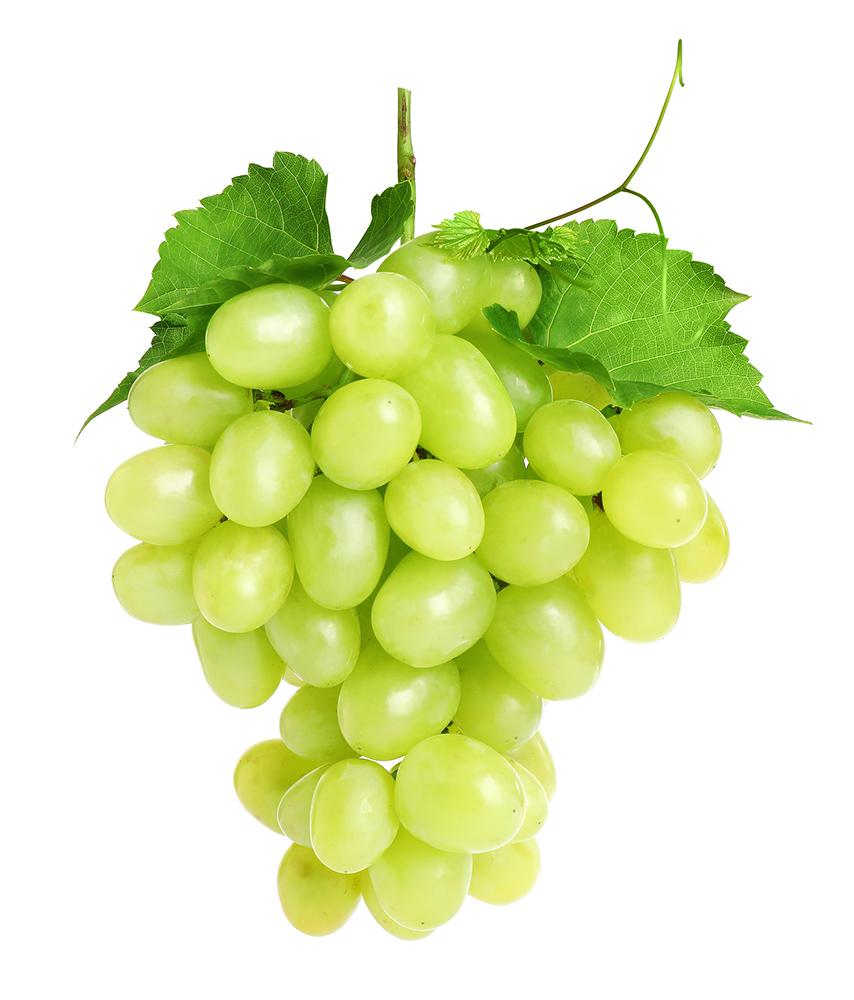 https://groceriesbyisrael.com/assets/images/produce/seedless-green-grapes-gbi.jpg